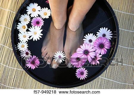 Feet treatment with peebles and flowers View Large Photo Image Stock Photo - Feet treatment with peebles and flowers. Fotosearch