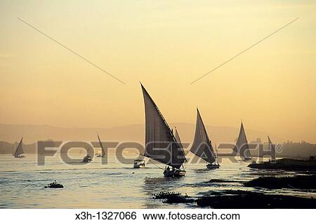 feluccas on the Nile at dusk, Aswan, Egypt, Africa View Large Photo Image Stock Photograph - feluccas on the Nile at dusk, Aswan, Egypt, Africa. Fotosearch