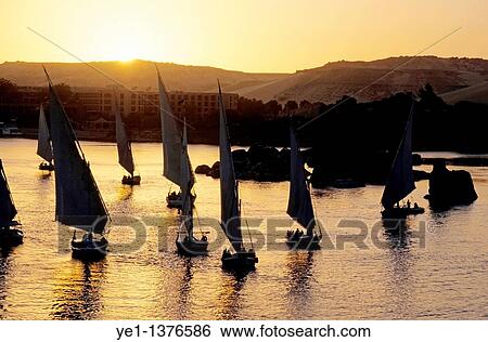 Feluccas sailing on the Nile river at sunset, Aswan, Egypt View Large Photo Image Stock Photograph - Feluccas sailing on the Nile river at sunset, Aswan, Egypt. Fotosearch