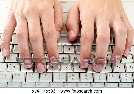 Female Hands over notebook keyboard View Large Photo Image Stock Image - Female Hands over notebook keyboard. Fotosearch