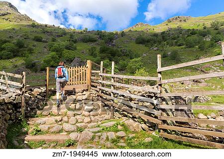 Female hiker approaches the footbridge thats leads towards Sour Milk Gill, Seathwaite in the Lake District. View Large Photo Image Stock Photography - Female hiker approaches the footbridge thats leads towards Sour Milk Gill, Seathwaite in the Lake District.. Fotosearch
