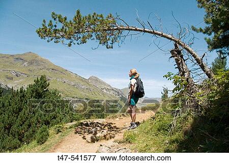 Female hiker contemplating the landscape under a pine. Parc National Pyrenees View Large Photo Image Stock Photo - Female hiker contemplating the landscape under a pine. Parc National Pyrenees. Fotosearch