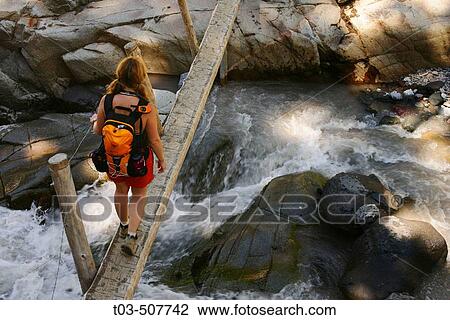 Female hiker crossing single log bridge over rushing creek on trail to Van Trump Park in Mt. Rainier National Park, Washington, USA View Large Photo Image Stock Image - Female hiker crossing single log bridge over rushing creek on trail to Van Trump Park in Mt. Rainier National Park, Washington, USA. Fotosearch