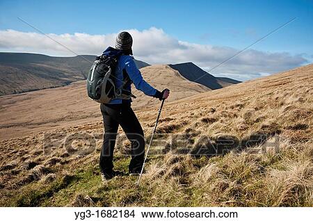 Female hiker enjoys scenic mountain view, Brecon Beacons national park, Wales View Large Photo Image Picture - Female hiker enjoys scenic mountain view, Brecon Beacons national park, Wales. Fotosearch