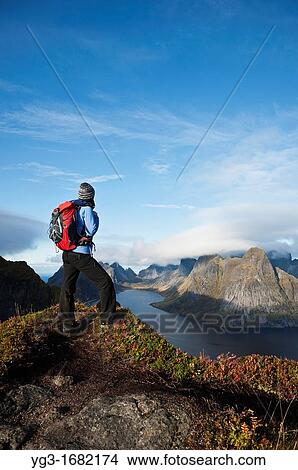 Female hiker enjoys spectacular view over mountains and fjords from Reinebringen, Lofoten islands, Norway View Large Photo Image Picture - Female hiker enjoys spectacular view over mountains and fjords from Reinebringen, Lofoten islands, Norway. Fotosearch