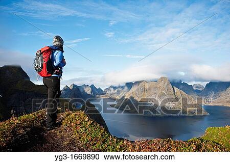 Female hiker enjoys spectacular view over mountains and fjords from Reinebringen, Lofoten islands, Norway View Large Photo Image Stock Image - Female hiker enjoys spectacular view over mountains and fjords from Reinebringen, Lofoten islands, Norway. Fotosearch