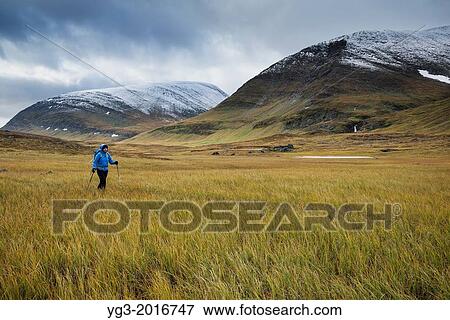 Female hiker hikes along Kunsleden trail north of S? lka mountain hut, Lappland, Sweden. View Large Photo Image Stock Photo - Female hiker hikes along Kunsleden trail north of S? lka mountain hut, Lappland, Sweden.. Fotosearch