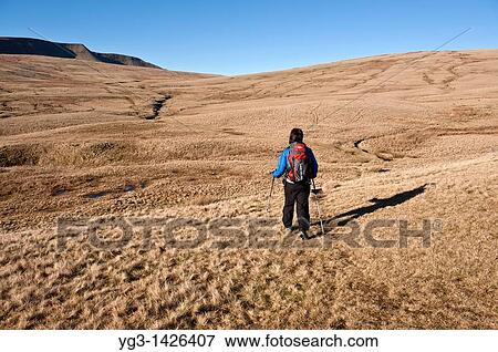Stock Photo - Female hiker hiking in Black Mountain range of Brecon Beacons national park, Wales. Fotosearch