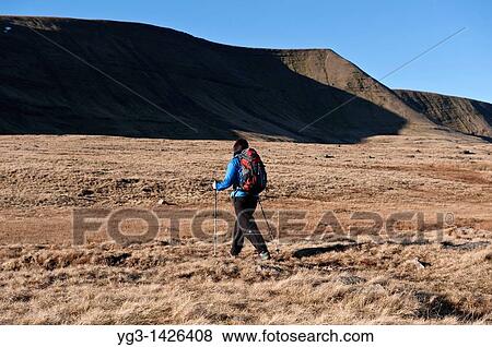 Stock Photo - Female hiker hiking in Black Mountain range of Brecon Beacons national park, Wales. Fotosearch
