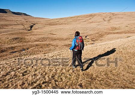 Female hiker hiking in Black Mountain range of Brecon Beacons national park, Wales View Large Photo Image Stock Photography - Female hiker hiking in Black Mountain range of Brecon Beacons national park, Wales. Fotosearch