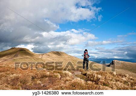 Female hiker hiking in mountains of Brecon Beacons national park with view of Pen Y Fan and Corn Du, Wales View Large Photo Image Stock Image - Female hiker hiking in mountains of Brecon Beacons national park with view of Pen Y Fan and Corn Du, Wales. Fotosearch