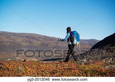 Female hiker hiking through autumn mountain landscape along Kungsleden trail, Lappland, Sweden. View Large Photo Image Stock Photograph - Female hiker hiking through autumn mountain landscape along Kungsleden trail, Lappland, Sweden.. Fotosearch