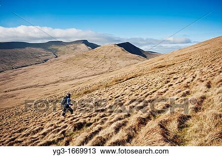 Female hiker hiking towards Fan Y Big, Brecon Beacons national park, Wales View Large Photo Image Stock Image - Female hiker hiking towards Fan Y Big, Brecon Beacons national park, Wales. Fotosearch