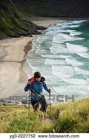 Female hiker hiking up trail with Kvalvika beach in background, Moskenesoy, Lofoten Islands, Norway. View Large Photo Image Stock Image - Female hiker hiking up trail with Kvalvika beach in background, Moskenesoy, Lofoten Islands, Norway.. Fotosearch