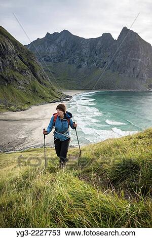 Female hiker hiking up trail with Kvalvika beach in background, Moskenesoy, Lofoten Islands, Norway. View Large Photo Image Stock Image - Female hiker hiking up trail with Kvalvika beach in background, Moskenesoy, Lofoten Islands, Norway.. Fotosearch