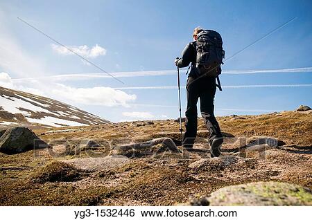 Female hiker in alpine terrain of Cairngorm mountains, Scotland View Large Photo Image Stock Photograph - Female hiker in alpine terrain of Cairngorm mountains, Scotland. Fotosearch