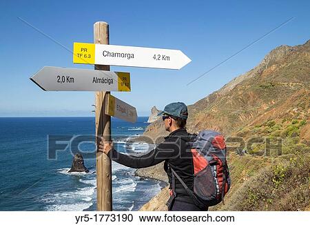 Female hiker near footpath signpost overlooking Roques de Anaga at Benijo in Anaga rural park on Tenerife, Canary Islands, Spain View Large Photo Image Stock Image - Female hiker near footpath signpost overlooking Roques de Anaga at Benijo in Anaga rural park on Tenerife, Canary Islands, Spain. Fotosearch