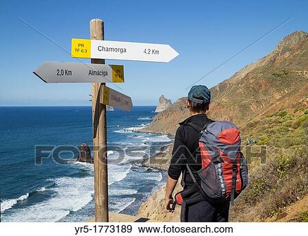 Female hiker near footpath signpost overlooking Roques de Anaga at Benijo in Anaga rural park on Tenerife, Canary Islands, Spain View Large Photo Image Stock Photo - Female hiker near footpath signpost overlooking Roques de Anaga at Benijo in Anaga rural park on Tenerife, Canary Islands, Spain. Fotosearch