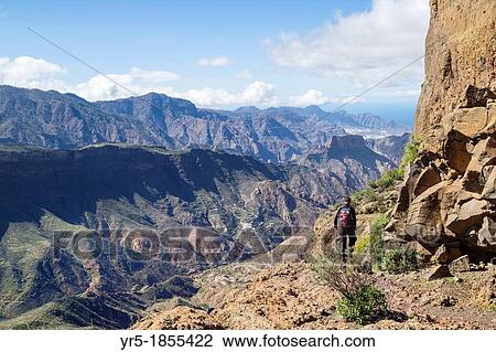 Female hiker near summit of Roque Bentayga near Tejeda on Gran Canaria, Canary Islands, Spain View Large Photo Image Stock Image - Female hiker near summit of Roque Bentayga near Tejeda on Gran Canaria, Canary Islands, Spain. Fotosearch