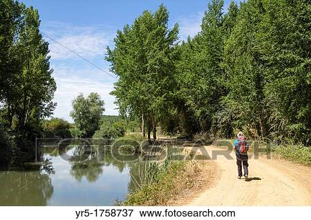 Female hiker on canal footpath Canal de Castilla, Palencia, province, Castilla-Leon, Spain A footpath/cycle track runs alongside nearly the whole length of the canal View Large Photo Image Stock Photo - Female hiker on canal footpath Canal de Castilla, Palencia, province, Castilla-Leon, Spain A footpath/cycle track runs alongside nearly the whole length of the canal. Fotosearch