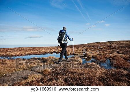 Female hiker on Offa's Dyke path, Black Mountains, Wales View Large Photo Image Stock Photograph - Female hiker on Offa's Dyke path, Black Mountains, Wales. Fotosearch