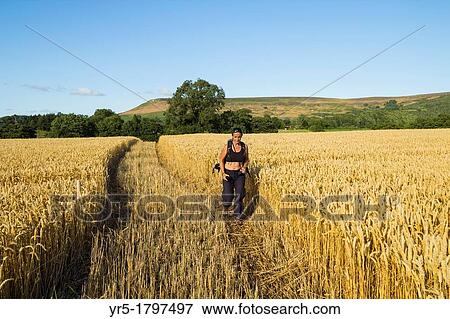 Female hiker on public footpath through corn field in North Yorkshire, England, United Kingdom View Large Photo Image Stock Photo - Female hiker on public footpath through corn field in North Yorkshire, England, United Kingdom. Fotosearch