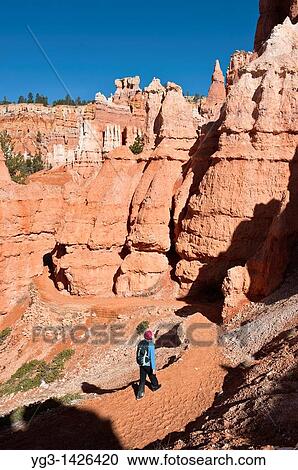 Female hiker on scenic Queens Garden trail, Bryce Canyon national park, Utah, USA View Large Photo Image Stock Image - Female hiker on scenic Queens Garden trail, Bryce Canyon national park, Utah, USA. Fotosearch