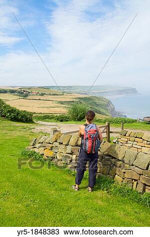Stock Image - Female hiker on The Cleveland Way national trail coastal footpath near Hummersea, between Saltburn and Staithes, North Yorkshire, England, United Kingdom. Fotosearch