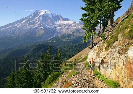 Female hiker on trail to Pinnacle Pass with Mt. Rainier looming in the background, Mt. Rainier National Park, Washington, USA View Large Photo Image Stock Image - Female hiker on trail to Pinnacle Pass with Mt. Rainier looming in the background, Mt. Rainier National Park, Washington, USA. Fotosearch