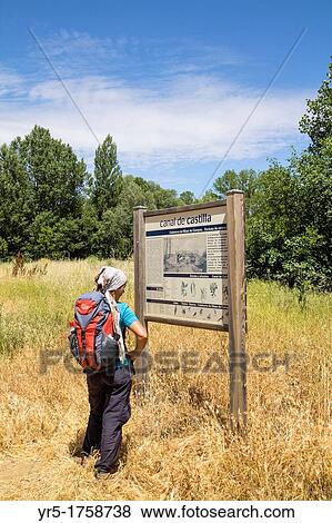 Stock Photo - Female hiker reading information board Canal de Castilla, Palencia, province, Castilla-Leon, Spain A footpath/cycle track runs alongside nearly the whole length of the canal. Fotosearch