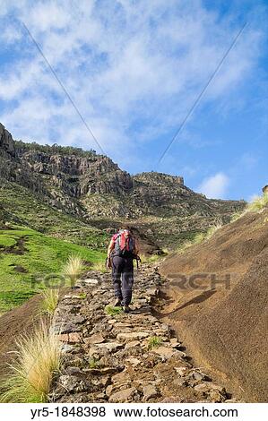 Female hiker walking up to Parque Natural de Tamadaba from San Pedro village near Agaete on Gran Canaria, Canary Islands, Spain View Large Photo Image Stock Photo - Female hiker walking up to Parque Natural de Tamadaba from San Pedro village near Agaete on Gran Canaria, Canary Islands, Spain. Fotosearch