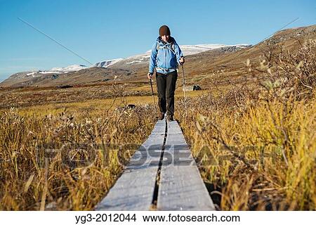 Female hiker walks along frost covered wooden walkway on Kungsleden trail, Lappland, Sweden. View Large Photo Image Picture - Female hiker walks along frost covered wooden walkway on Kungsleden trail, Lappland, Sweden.. Fotosearch
