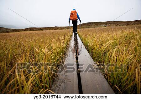 Female hiker walks along wooden planks in Tj? ktjavagge on Kungsleden trail, Lappland, Sweden. View Large Photo Image Picture - Female hiker walks along wooden planks in Tj? ktjavagge on Kungsleden trail, Lappland, Sweden.. Fotosearch