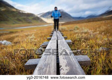 Stock Photo - Female hiker walks along wooden planks in Tj? ktjavagge on Kungsleden trail, Lappland, Sweden.. Fotosearch