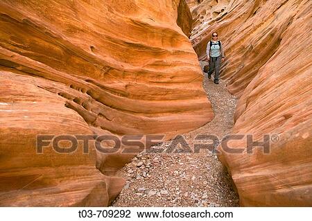 Female hiker walks through a ribbed section of sandstone in Little Wildhorse Slot Canyon, San Rafael Swell, Utah, USA View Large Photo Image Stock Image - Female hiker walks through a ribbed section of sandstone in Little Wildhorse Slot Canyon, San Rafael Swell, Utah, USA. Fotosearch