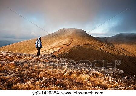 Picture - Female hiker with Corn Du and Pen Y Fan in Background, Brecon Beacons national park, Wales. Fotosearch