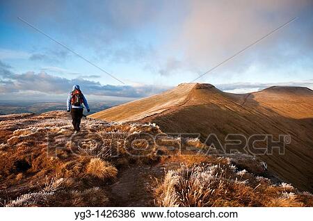 Stock Photograph - Female hiker with Corn Du and Pen Y Fan in Background, Brecon Beacons national park, Wales. Fotosearch