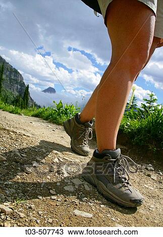 Stock Image - Female hikers legs on Highline Trail with Reynolds Peak in background, Glacier National Park, Montana, USA. Fotosearch