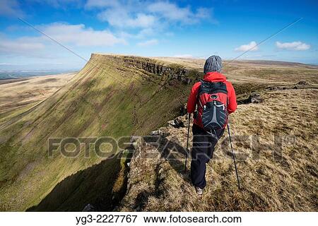 Stock Photo - Female hill walker hiking on Carmarthen Fans - Bannau Sir Gaer with Picws Du in distance, Black Mountain, Brecon Beacons national park, Wales.. Fotosearch