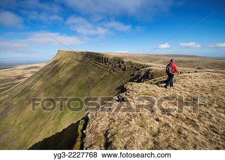 Female hill walker hiking on Carmarthen Fans - Bannau Sir Gaer with Picws Du in distance, Black Mountain, Brecon Beacons national park, Wales. View Large Photo Image Stock Photo - Female hill walker hiking on Carmarthen Fans - Bannau Sir Gaer with Picws Du in distance, Black Mountain, Brecon Beacons national park, Wales.. Fotosearch