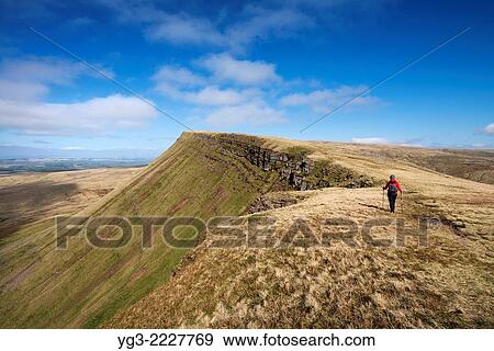 Female hill walker hiking on Carmarthen Fans - Bannau Sir Gaer with Picws Du in distance, Black Mountain, Brecon Beacons national park, Wales. View Large Photo Image Stock Photo - Female hill walker hiking on Carmarthen Fans - Bannau Sir Gaer with Picws Du in distance, Black Mountain, Brecon Beacons national park, Wales.. Fotosearch