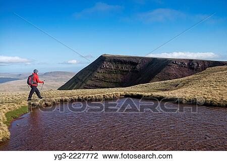 Female hill walker hiking towards summit of Fan Brycheiniog, Black Mountain, Brecon Beacons national park, Wales. View Large Photo Image Stock Image - Female hill walker hiking towards summit of Fan Brycheiniog, Black Mountain, Brecon Beacons national park, Wales.. Fotosearch