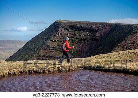 Female hill walker hiking towards summit of Fan Brycheiniog, Black Mountain, Brecon Beacons national park, Wales. View Large Photo Image Stock Image - Female hill walker hiking towards summit of Fan Brycheiniog, Black Mountain, Brecon Beacons national park, Wales.. Fotosearch