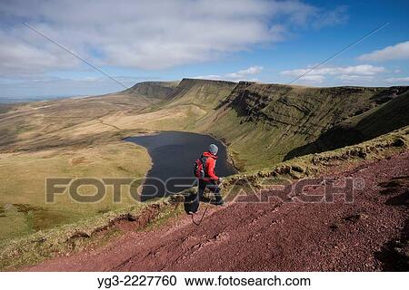 Female hill walker hiking towards Waun Lefrith above Llyn Y Fan Fach, Black Mountain, Brecon Beacons national park, Wales. View Large Photo Image Stock Image - Female hill walker hiking towards Waun Lefrith above Llyn Y Fan Fach, Black Mountain, Brecon Beacons national park, Wales.. Fotosearch