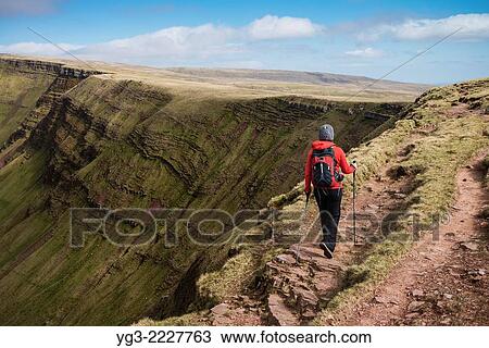 Female hill walker hiking towards Waun Lefrith along Carmarthen Fans, Black Mountain, Brecon Beacons national park, Wales. View Large Photo Image Stock Image - Female hill walker hiking towards Waun Lefrith along Carmarthen Fans, Black Mountain, Brecon Beacons national park, Wales.. Fotosearch