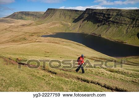 Female hill walker hiking towards Waun Lefrith above Llyn Y Fan Fach, Black Mountain, Brecon Beacons national park, Wales. View Large Photo Image Stock Photo - Female hill walker hiking towards Waun Lefrith above Llyn Y Fan Fach, Black Mountain, Brecon Beacons national park, Wales.. Fotosearch