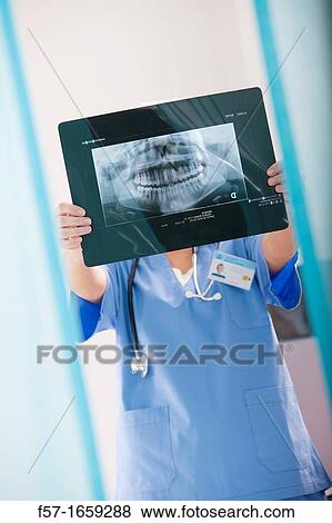 Female Nurse holding up an X-ray of a mouth View Large Photo Image Stock Photo - Female Nurse holding up an X-ray of a mouth. Fotosearch