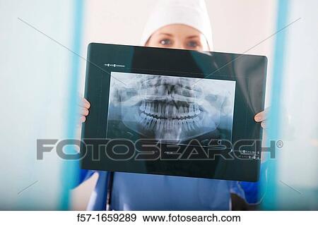Female Nurse holding up an X-ray of a mouth View Large Photo Image Stock Photo - Female Nurse holding up an X-ray of a mouth. Fotosearch