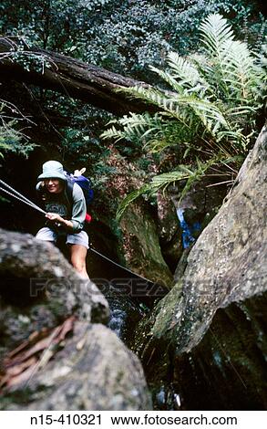 Female on the first abseil in Starlight Canyon, above Valley, Blue Mountains National Park, New South Wales, Australia. View Large Photo Image Stock Image - Female on the first abseil in Starlight Canyon, above Valley, Blue Mountains National Park, New South Wales, Australia.. Fotosearch