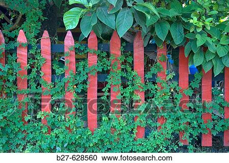 Fence. Puerto Viejo. Costa Rica. Central America. View Large Photo Image Stock Image - Fence. Puerto Viejo. Costa Rica. Central America.. Fotosearch